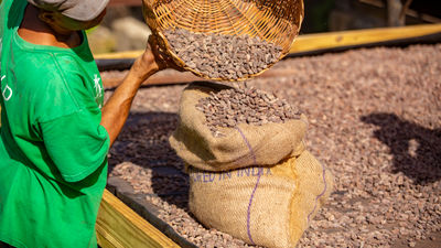 Across the Caribbean, travelers will find opportunities to explore the region’s chocolate and coffee traditions through curated activities and offerings.